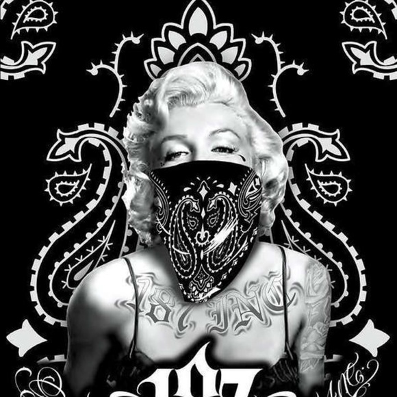 Meet your Posher, Rey - Picture 1 of 1